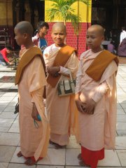 12-Female monks in the Mahamuni Pagoda
